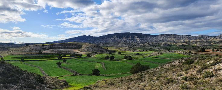 Landscape Monegros
