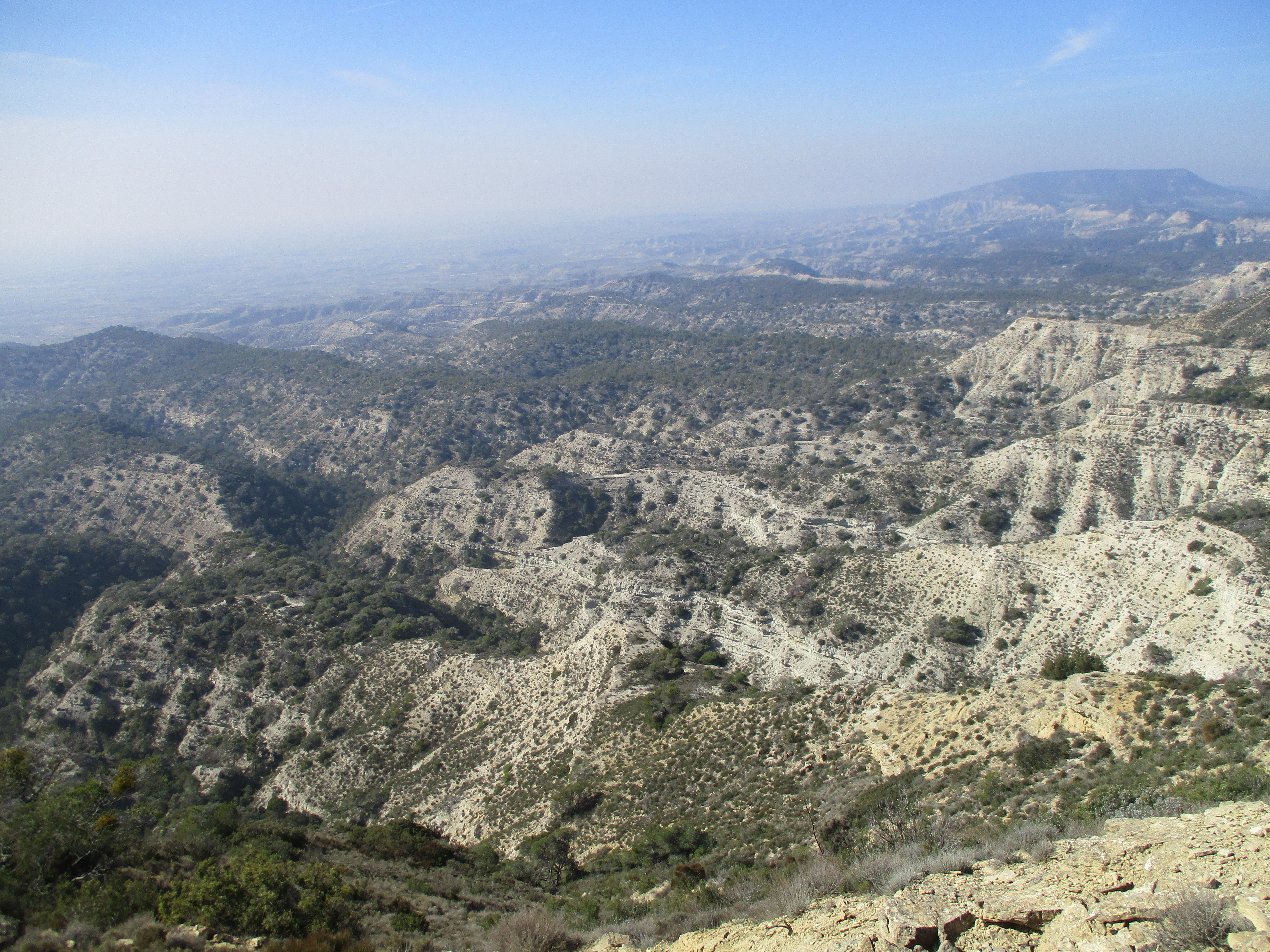 landscape farlete