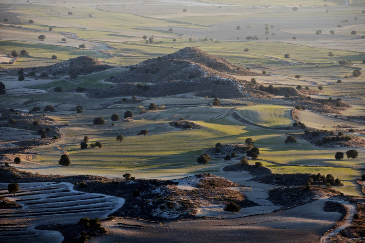 landscape farlete